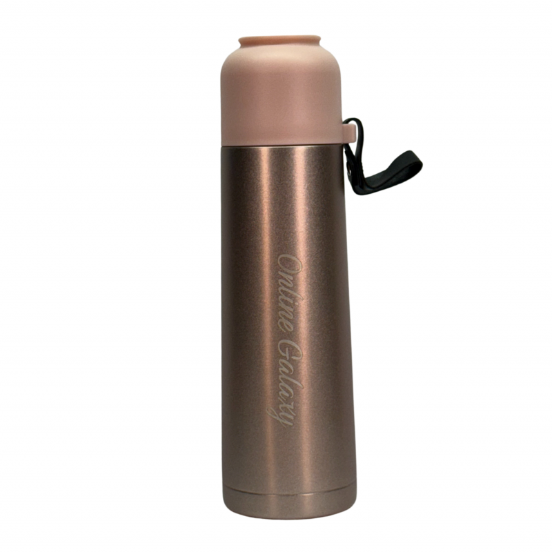 Ledi Light Luxury thermos Cup 500ML